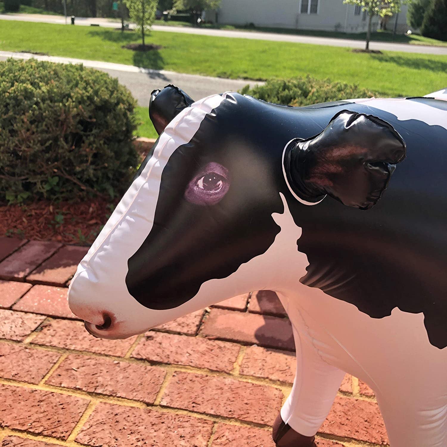 Jet Creations Inc., Jet Creations Cow Inflatable Animal Baby 37 Inch Long Great for Pool Party Decoration, Birthday Kids and Adult An-Cow