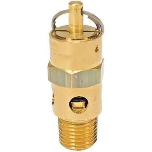 Milton, Milton 1/4" Male NPT ASME Safety Valve